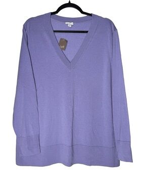 J Jill Merino Wool Sweater Size XL Blue Bell Purple V Neck Lightweight Knit NWT